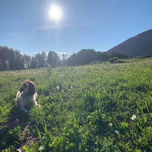 Meet your Posher, Elizabeth